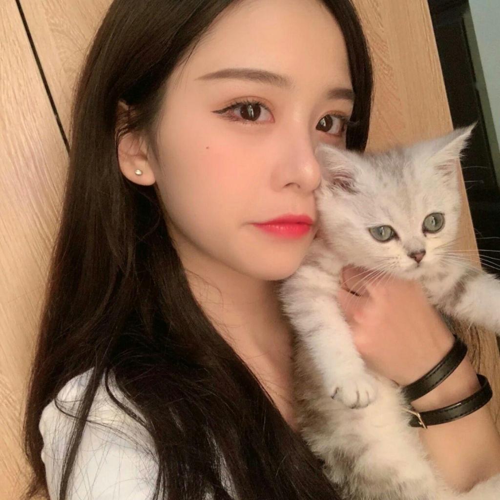 半岛网页版app下载