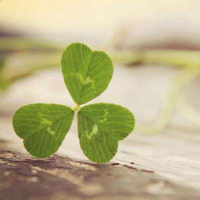 JN江南·娱乐最新官网入口截图