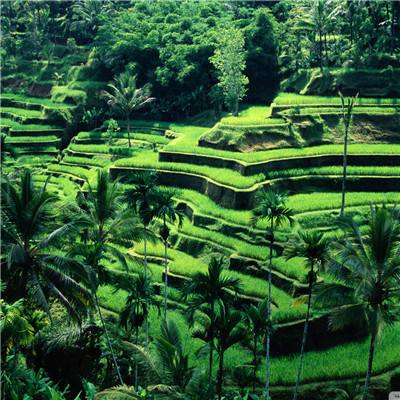 安博体育app官方下载入口