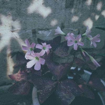 JN江南·娱乐最新官网入口