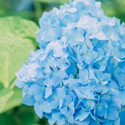 leyu乐鱼下载手机版