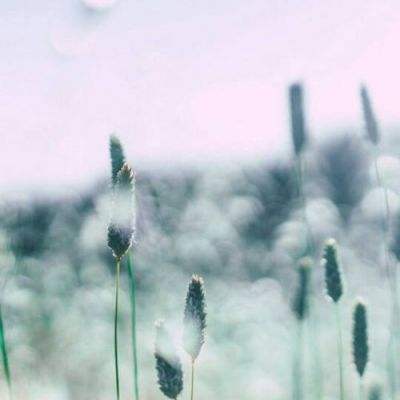 半岛(中国)体育截图