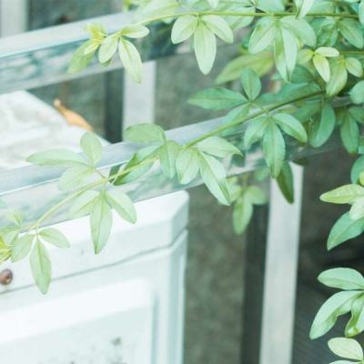 ROR体育app官方下载